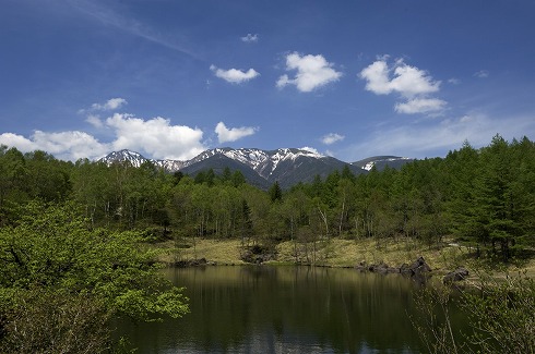 2022年西武池袋本店初売りレポート